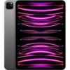 Apple IPad Pro 11 - M2 (2022 ) Gray